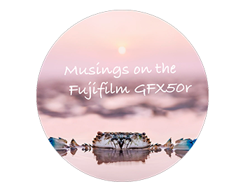 Musings on the Fujifilm GFX50r (vs 50s)