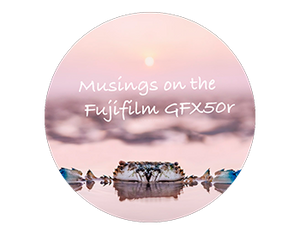 Musings on the Fujifilm GFX50r (vs 50s)
