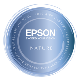 MAT BEETSON APP - 2019 AIPP WESTERN AUSTRALIAN NATURE PROFESSIONAL PHOTOGRAPHER OF THE YEAR