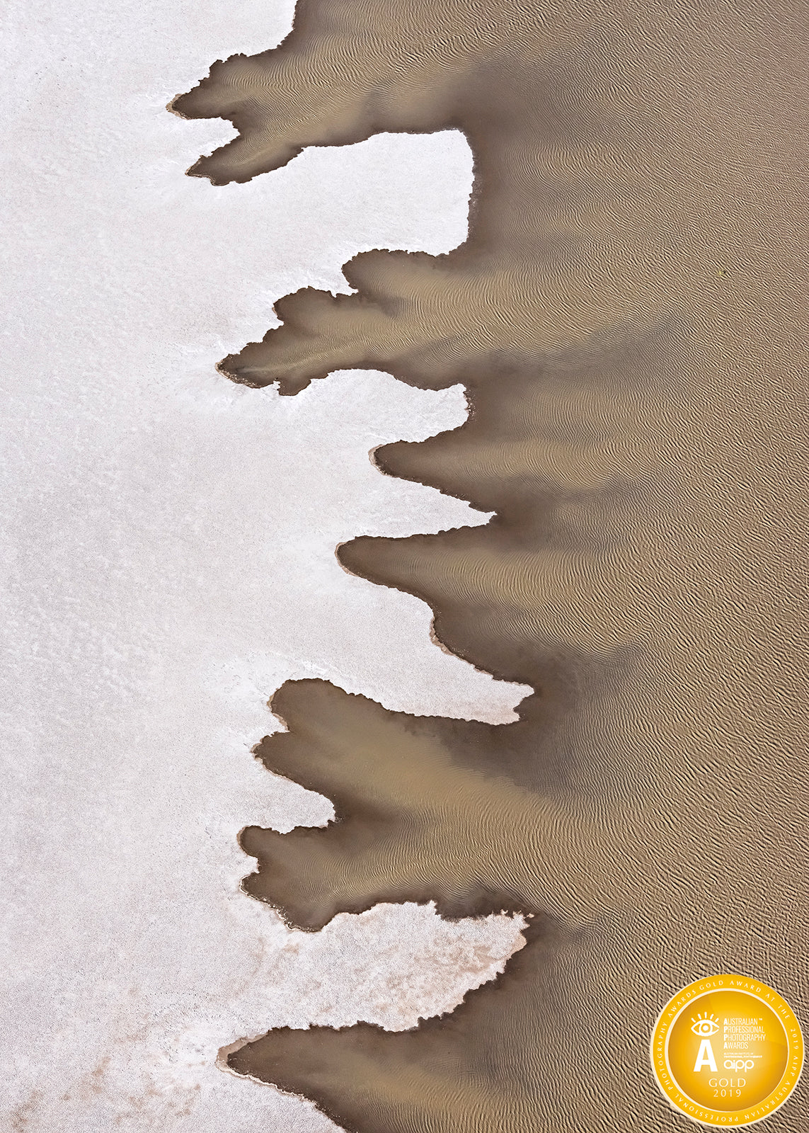 Award Winning Images