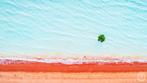 VMP 002 Pindan Shoreline Mangrove