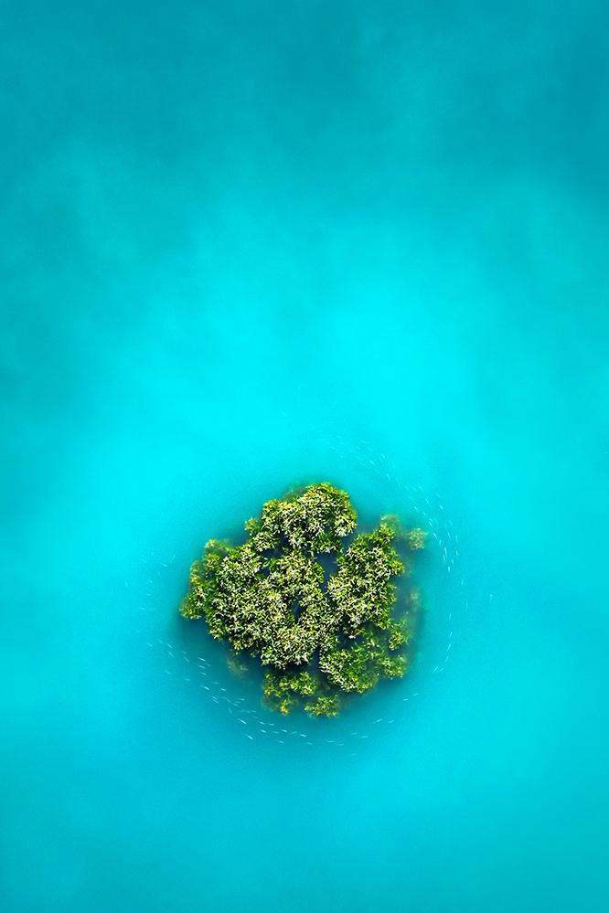 VMP 007 Bait Fish Swirl