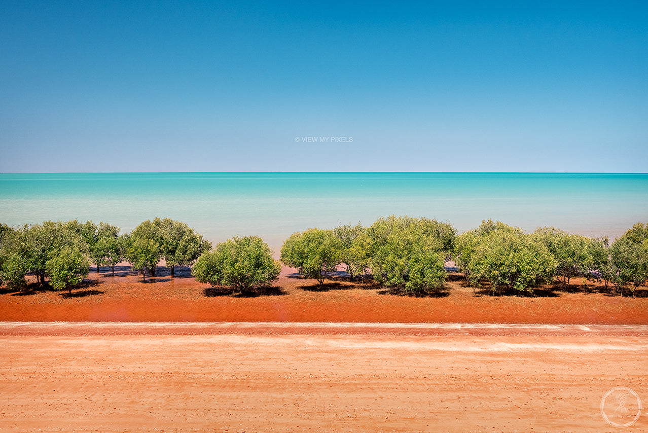 VMP 048 Mangroves in Roebuck Bay